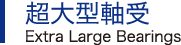 超大型軸受